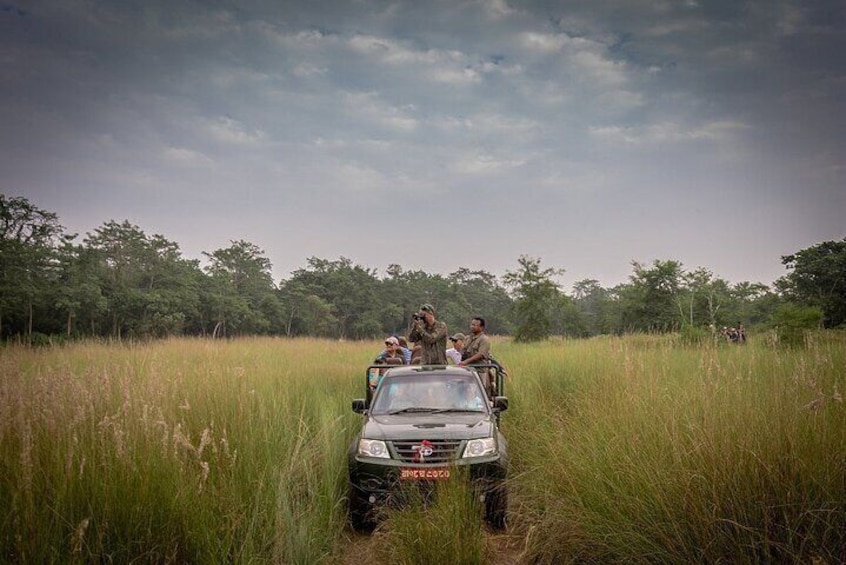 Chitwan Jungle Safari Tour Package
Book your safari with us
Chitwan Wildlife Safari
