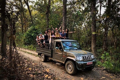 Chitwan Jungle Safari Package All-Inclusive from Kathmandu