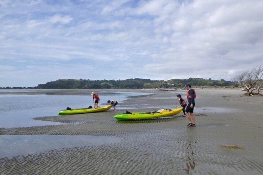 Family adventure at Ohiwa Harbour