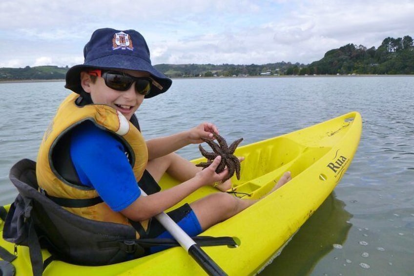 learning about the marine life at Ohiwa harbour
