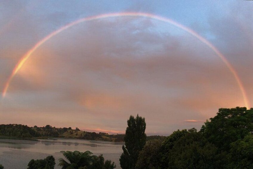 magical moments at sheltered Ohiwa Harbour