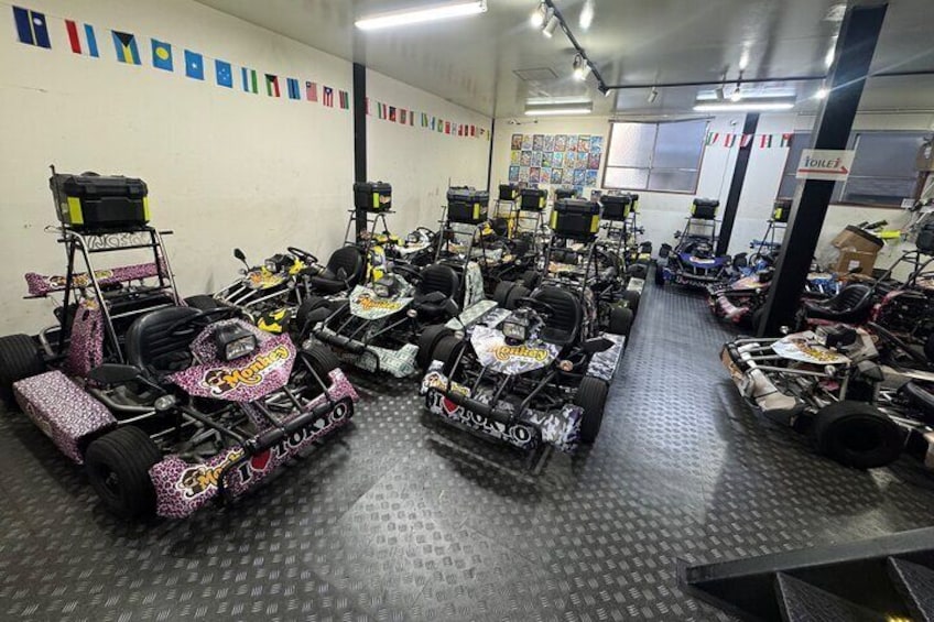 Tokyo Go Kart: Asakusa, Skytree, and Akihabara **IDP MUST**