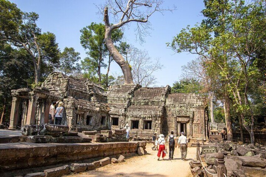 Magnificent Sunrise Angkor Private Tour 