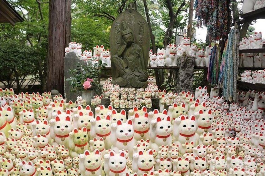 So many 'MANEKI CATS' in GOUTOKU-temple