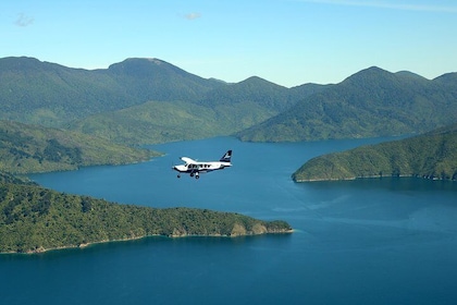Scenic flight - Experience our Water and Wilderness scenic tour
