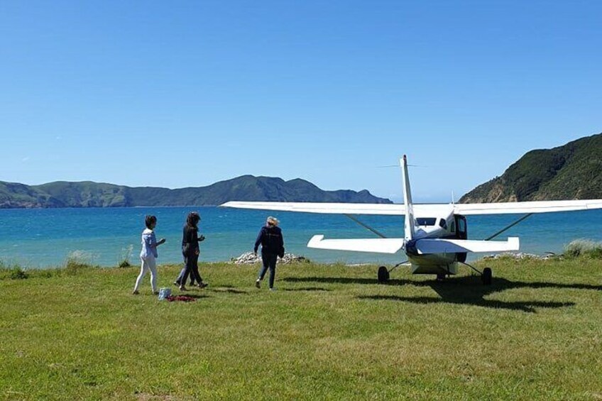 Scenic flight - Experience our Water and Wilderness scenic tour