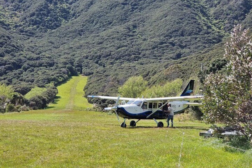 Scenic flight - Experience our Water and Wilderness scenic tour