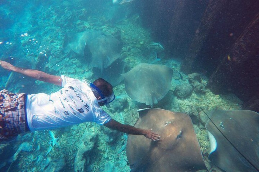 Guided Snorkeling Trip