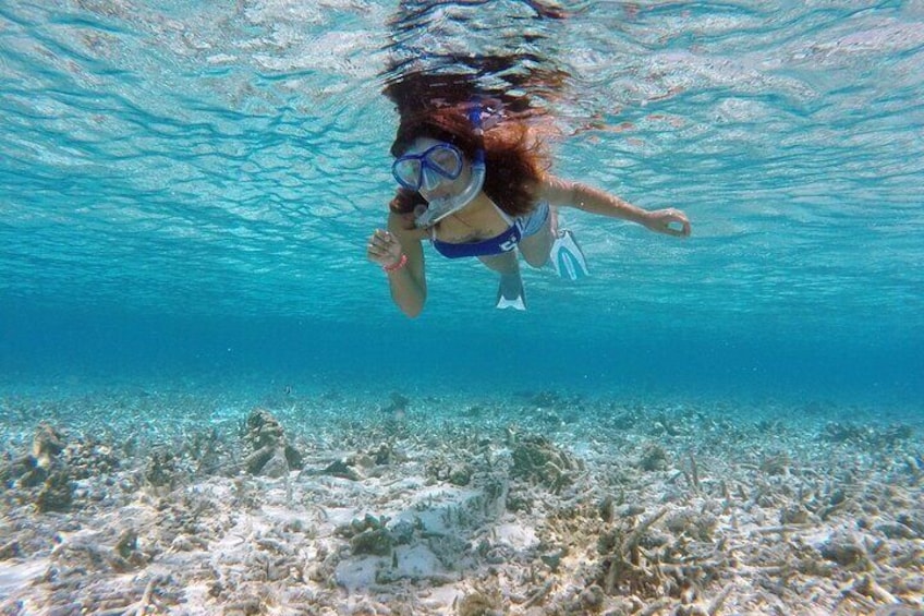 Snorkeling