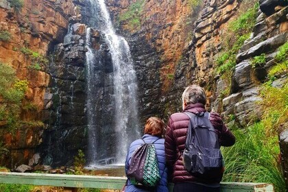 Waterfall Gully to Mt Lofty Guided Hike