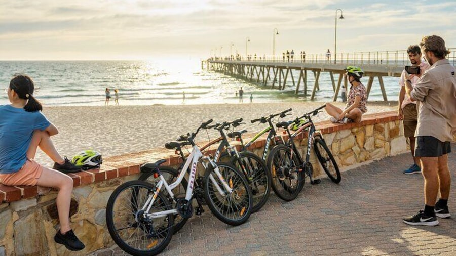 Adelaide City to Sea Bike Tour