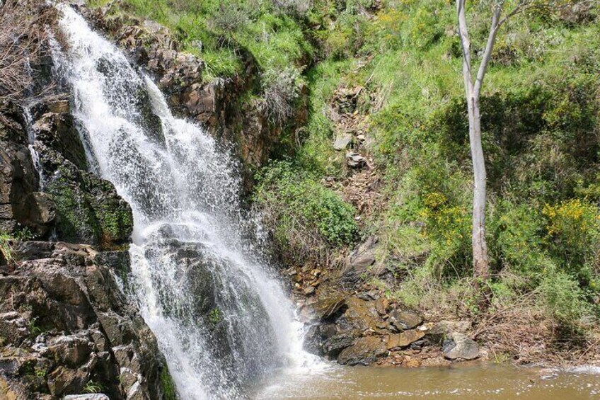 Morialta Wilderness and Wildlife Hike