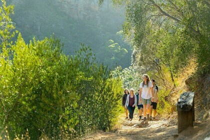 Morialta Wilderness and Wildlife Hike