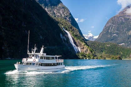 Cruise Milford NZ Small Boutique Cruise Experience