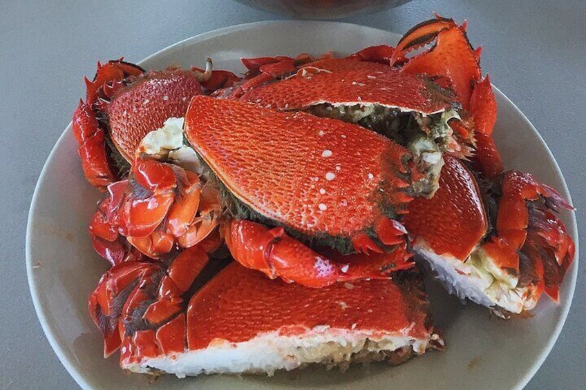 Crab Trip from Gold Coast