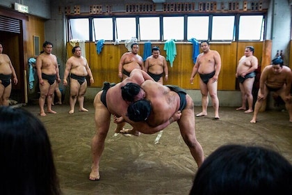 Tokyo Sumo Morning Practice Tour at Stable