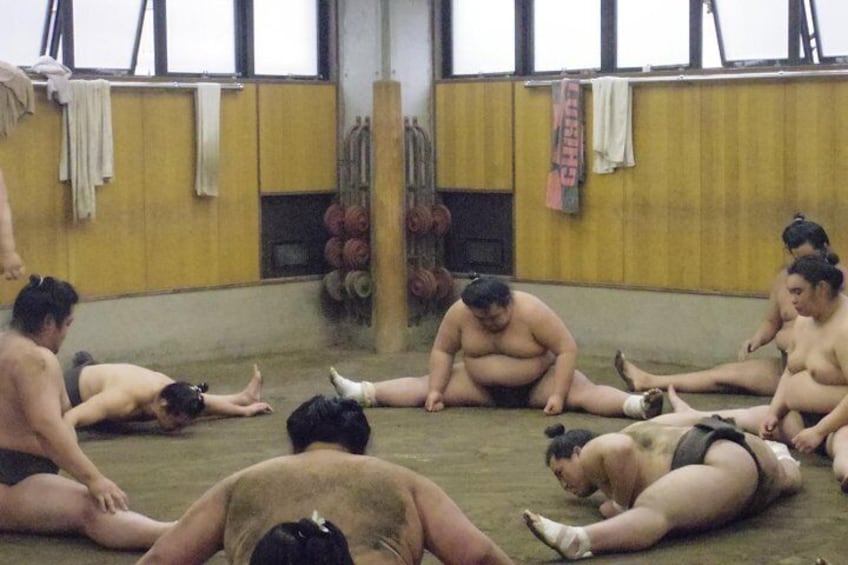 Sumo stable Morning Training Watching Tour