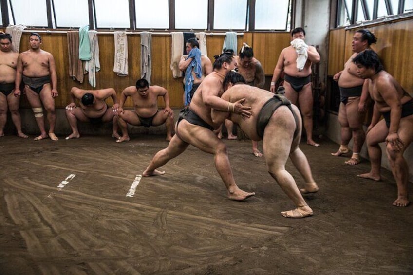 Sumo Morning Practice Tour at Stable in Tokyo