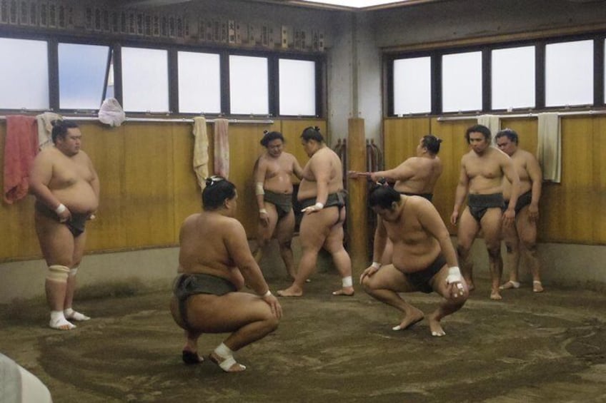 Sumo stable Morning Training Watching Tour