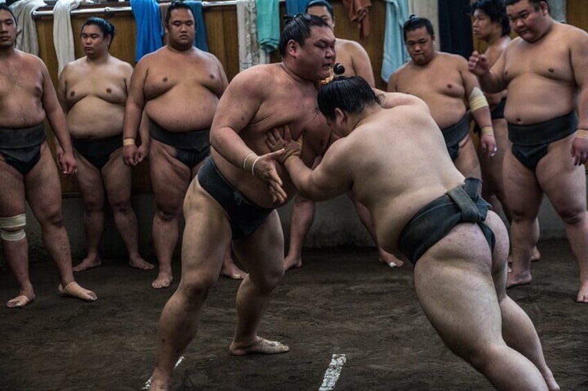 Sumo Morning Practice Tour at Stable in Tokyo