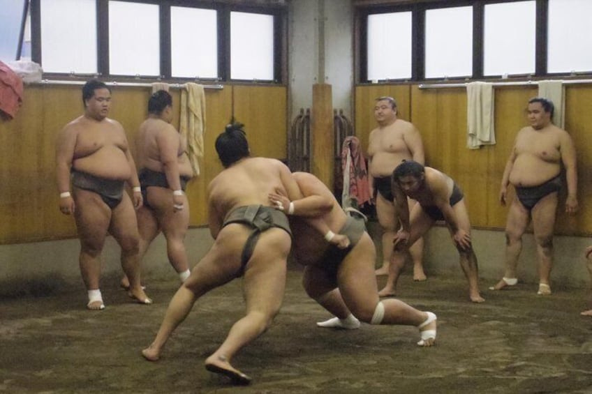 Sumo stable Morning Training Watching Tour