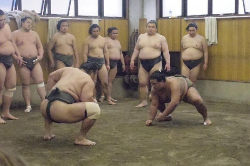 Sumo stable Morning Training Watching Tour