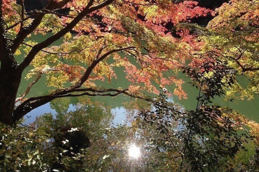 North Sickle Lake Autumn