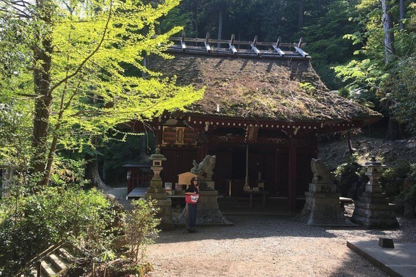 The Bamboo Temple