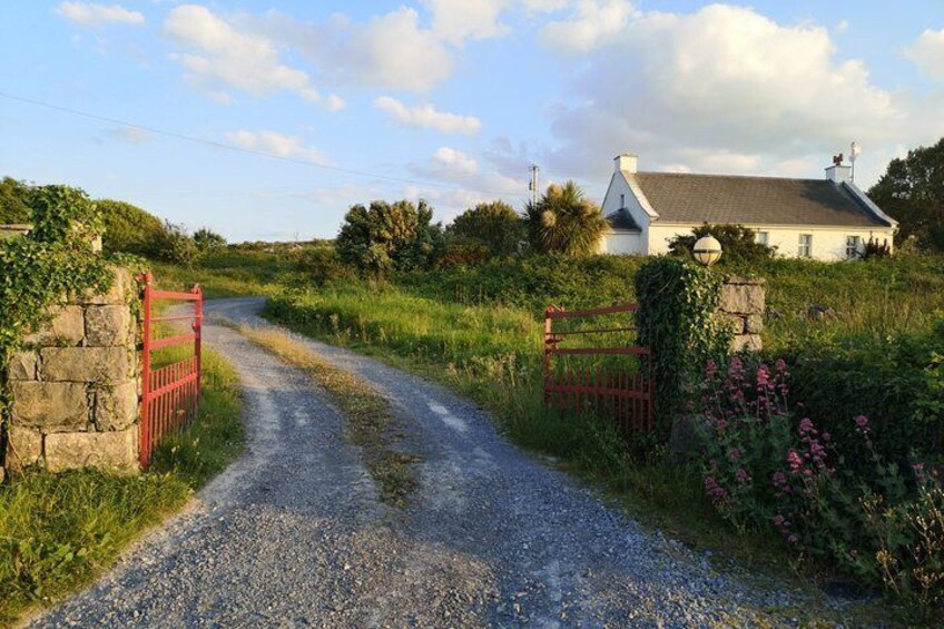 The Burren and Cliffs of Moher Full Day Private Tour