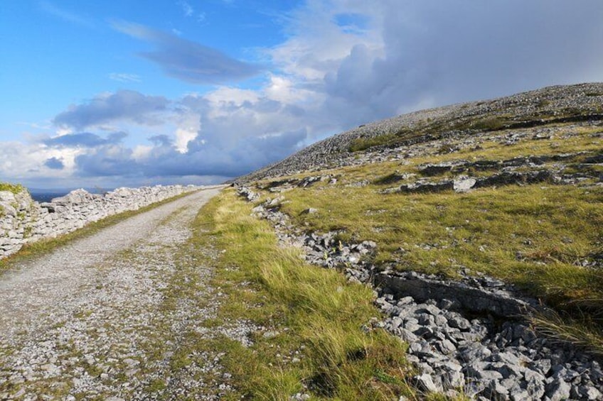 The Burren and Cliffs of Moher Full Day Private Tour from Galway