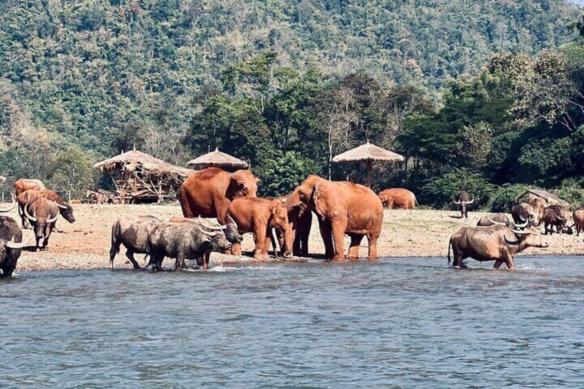 Chiangmai 1 day package tour- Trekking, Waterfall & Tubing