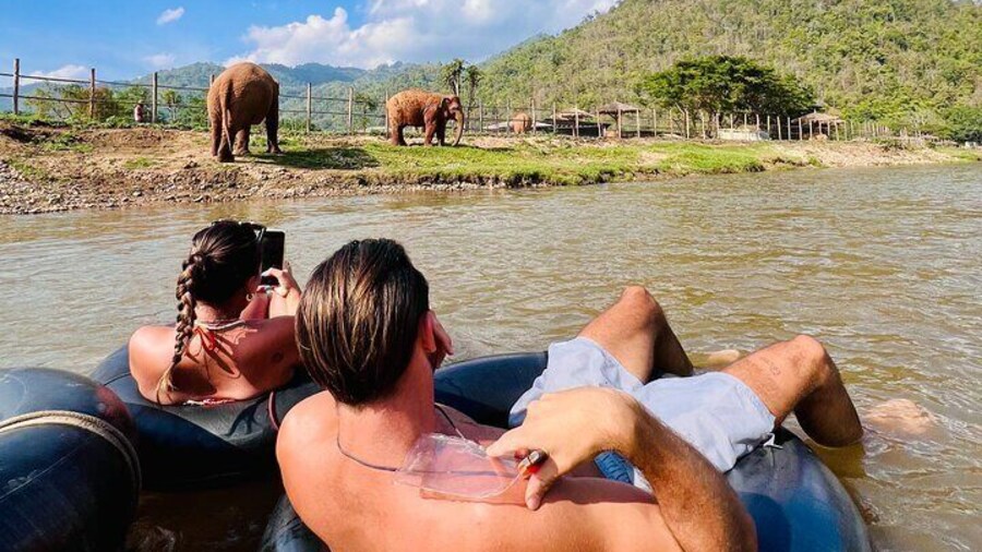 Chiang Mai Full-Day Jungle Trek, Tubing & Waterfall Adventure