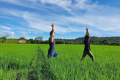 Half-Day Yoga, Meditation, and Thai Cultural Immersion in Chiang Mai