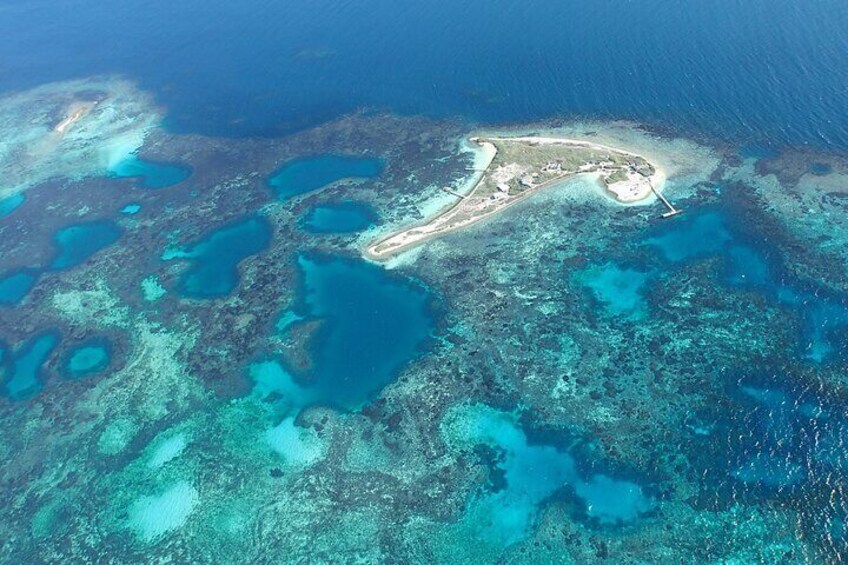 Shipwreck Special Nature Tour/Half Day Tour