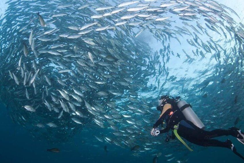 Tulamben Diving 