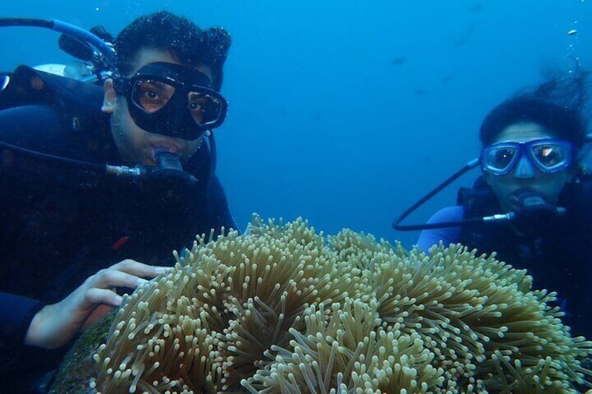 Shipwreck Tulamben Diving Tours
