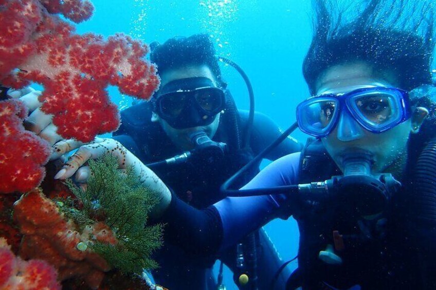 Shipwreck Tulamben Diving Tours