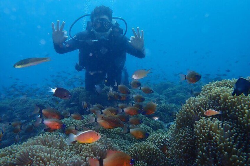 Shipwreck Tulamben Diving Tours