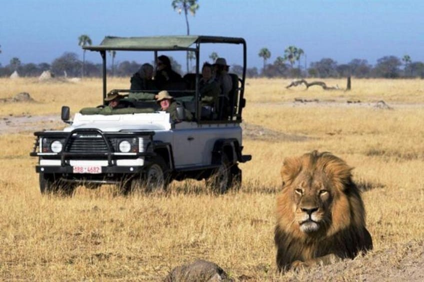 getting up-close with wildlife