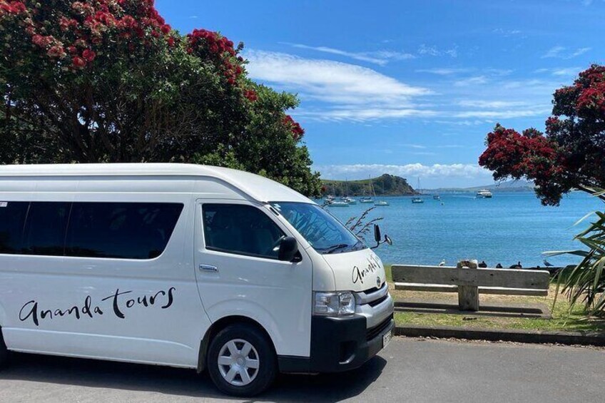 The Essence of Waiheke Wine Tour