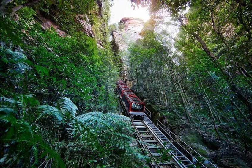 Scenic Railway 