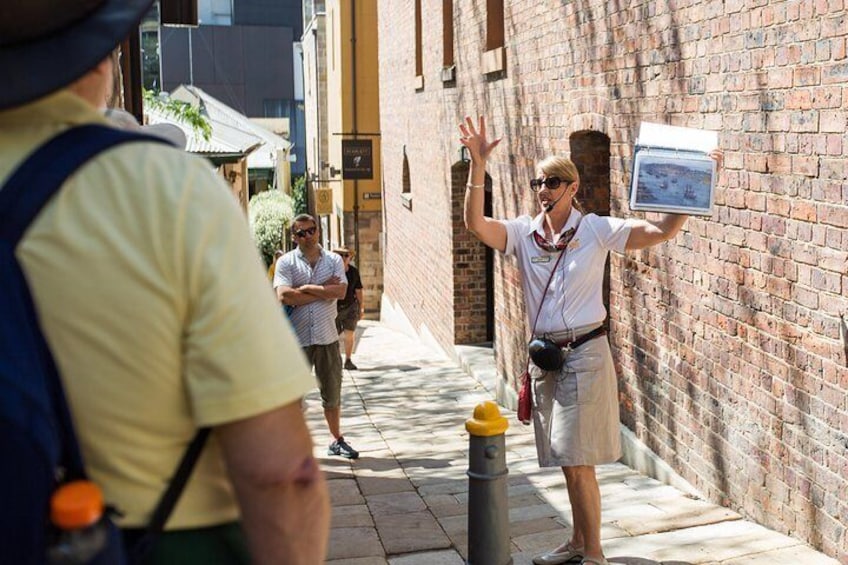 The Rocks Walking Tours' Guide