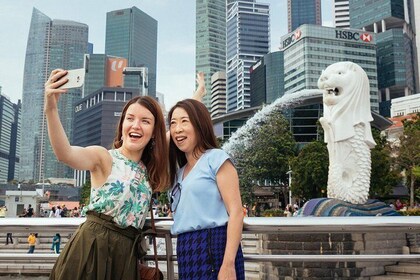 Singapore Magical Private City Tour: Highlights by Day or Night