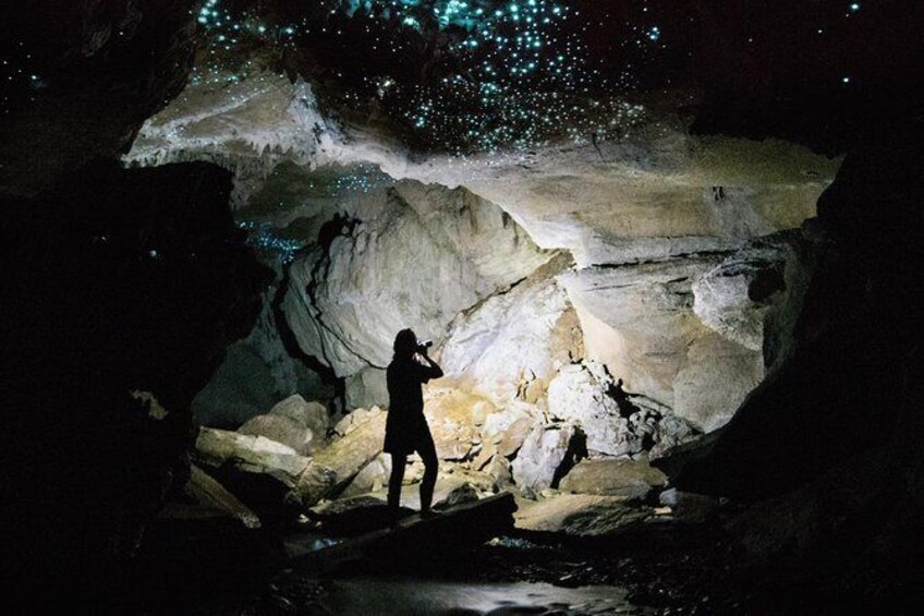 3-Hour Private Photography Tour in Waitomo Caves