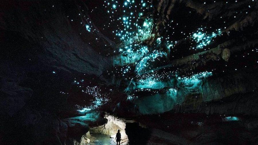 Glowing Adventures