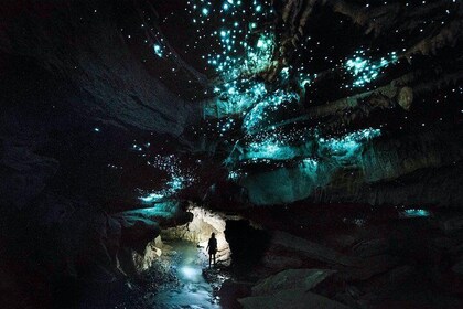 Waitomo - Eco Adventure Glowworm Cave Tour - utenfor allfarvei