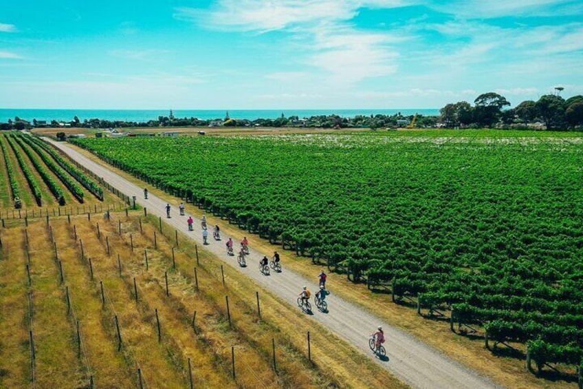 Cycling in Te Awanga