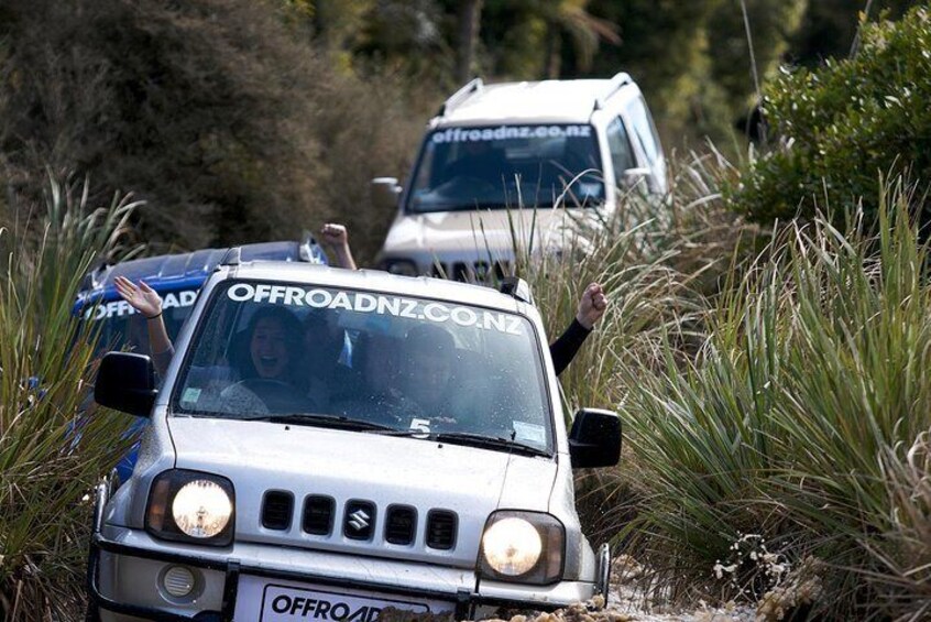 Rotorua 4WD Bush Safari Tour