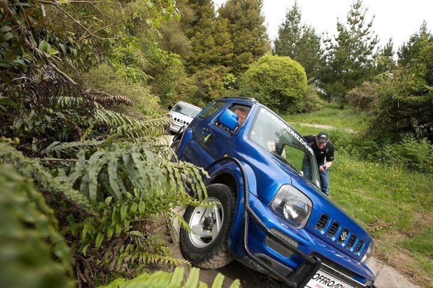 Rotorua 4WD Bush Safari Tour