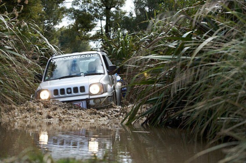 4WD Bush Safari at Off Road NZ